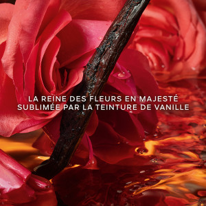 Shalimar Millesime Rose - Eau de Parfum